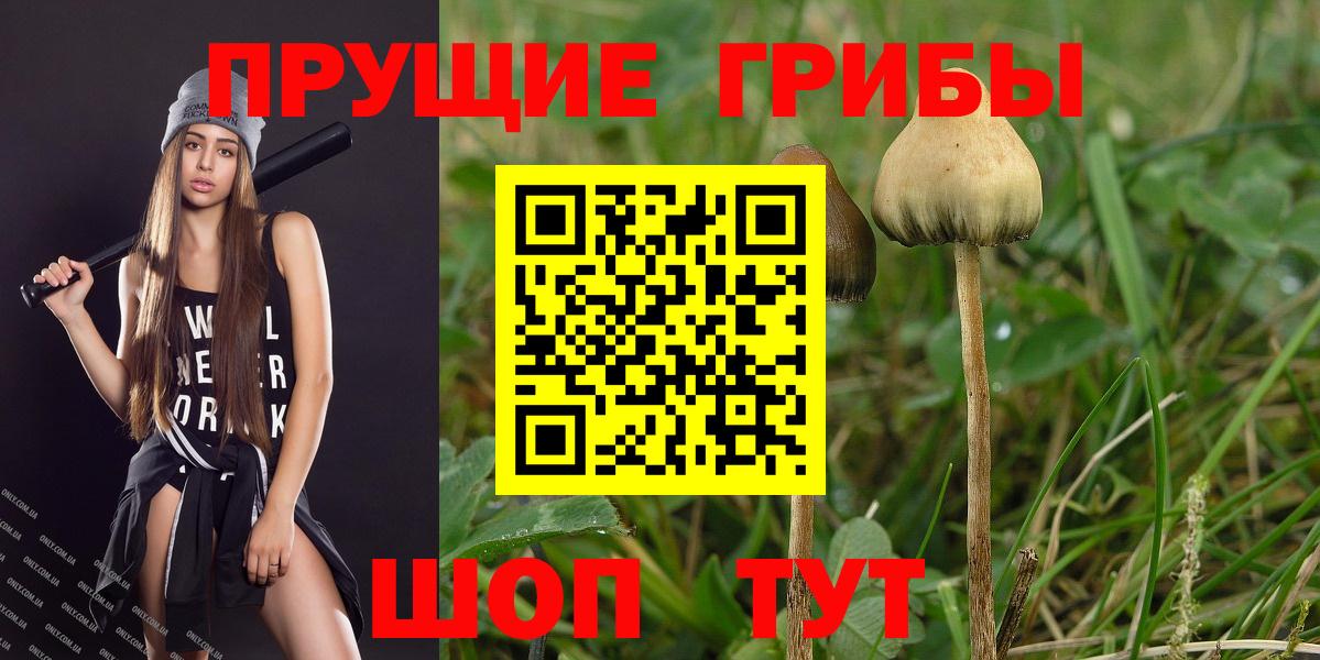 Искитим  Псилоцибиновые грибы ЛСД  Вход с VPN 