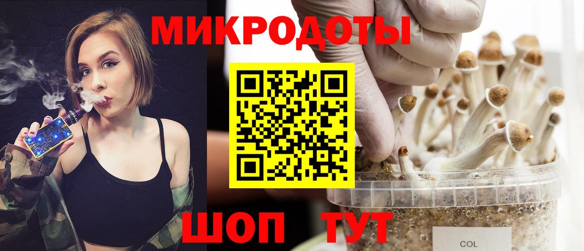 Галлюциногенные грибы Psilocybe Искитим